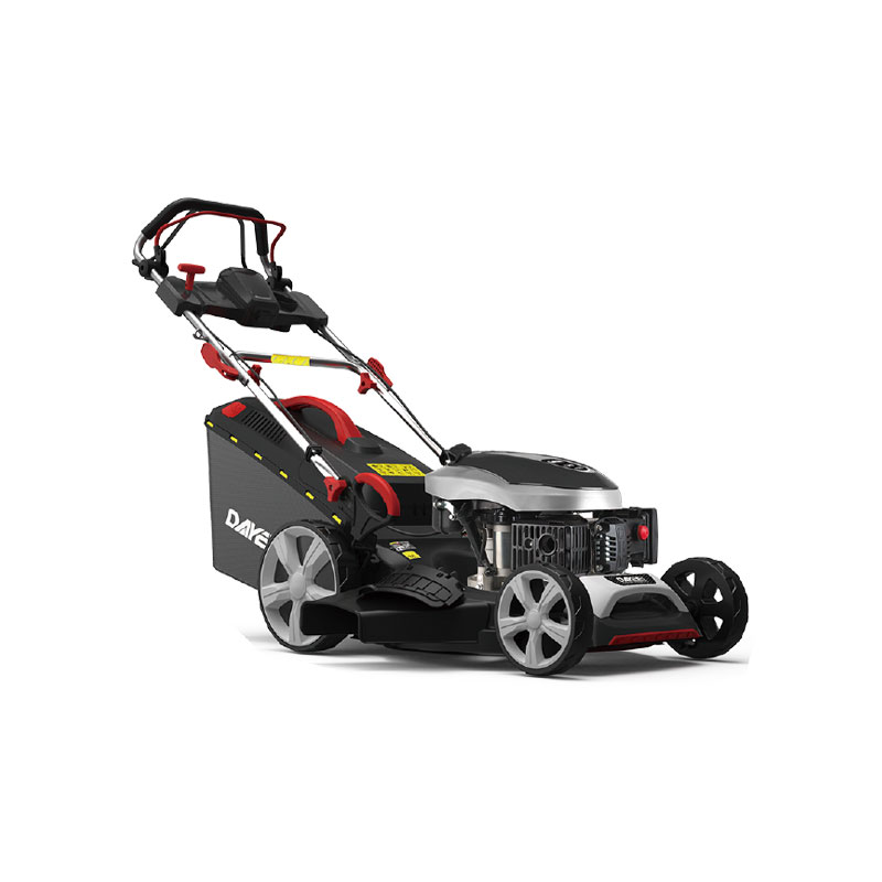 DY202-173SM-06VE